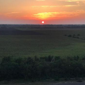 Сдается 1-комнатная квартира, 38,9 м²