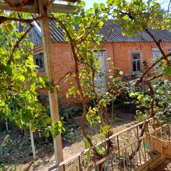 Продается Дом, 116,7 м²