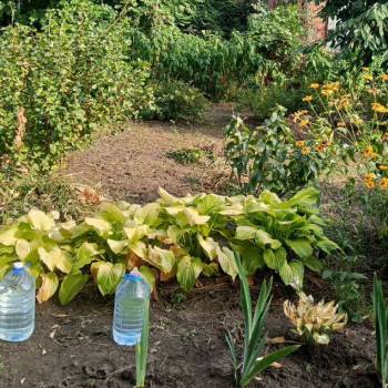 Продается Дом, 42 м²