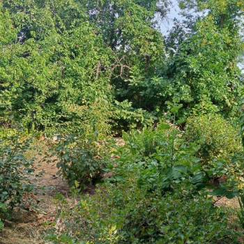 Продается Дом, 42 м²