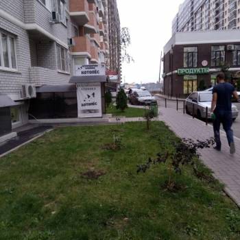 Сдается Нежилое помещение, 20 м²