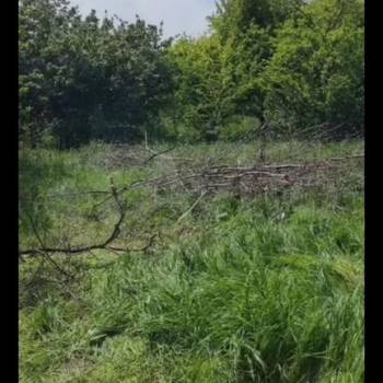 Продается Участок, 600 м²