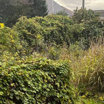 Продается Участок, 400 м²