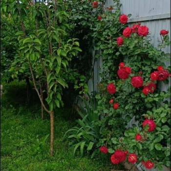 Продается Дом, 110 м²