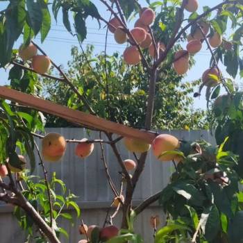 Продается Дом, 110 м²