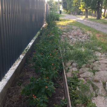 Продается Участок, 600 м²