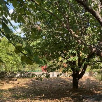 Продается Участок, 550 м²