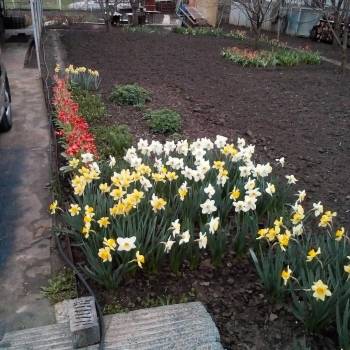 Продается Участок, 600 м²