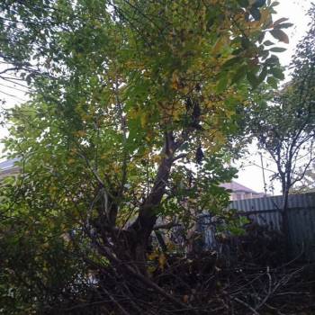 Продается Дом, 30 м²