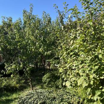 Продается Дом, 35,8 м²