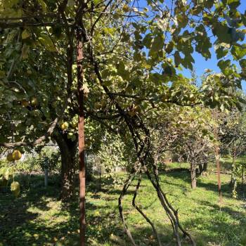 Продается Дом, 35,8 м²