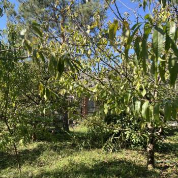 Продается Дом, 35,8 м²