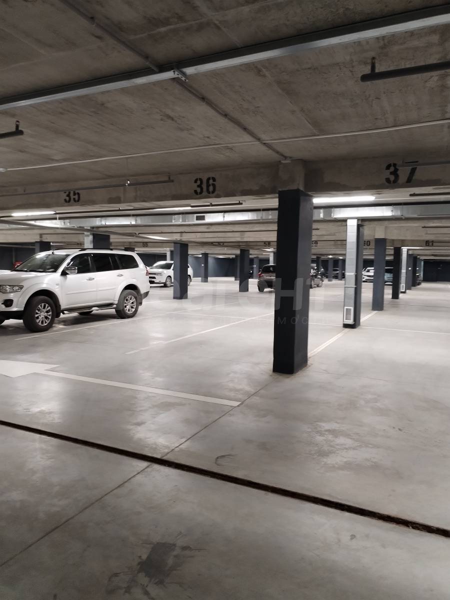 Фотография №11