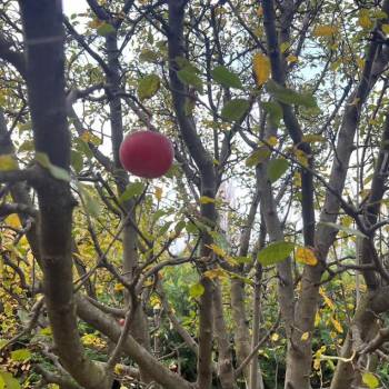 Продается Дом, 167 м²