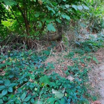 Продается Участок, 2100 м²