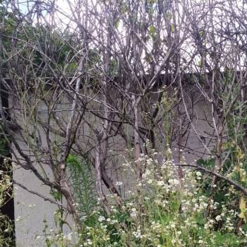 Продается Участок, 470 м²