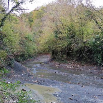 Продается Участок, 400 м²