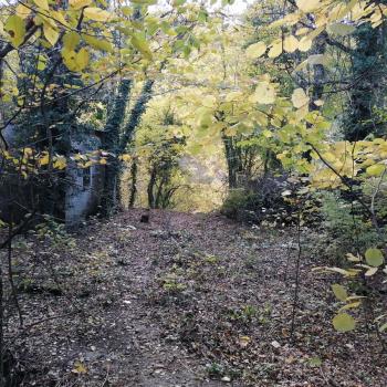 Продается Участок, 400 м²