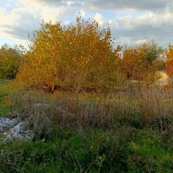 Продается Участок, 807 м²