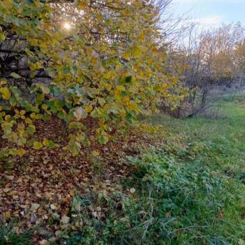 Продается Участок, 807 м²