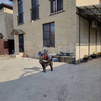 Сдается Дом, 186 м²