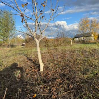 Продается Участок, 1000 м²