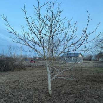 Продается Участок, 1000 м²