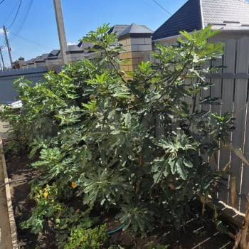 Продается Дом, 104 м²