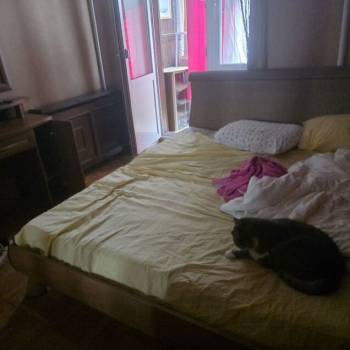 Сдается Многокомнатная квартира, 60 м²