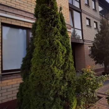 Сдается 2-х комнатная квартира, 36 м²