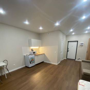 Сдается 1-комнатная квартира, 27,4 м²