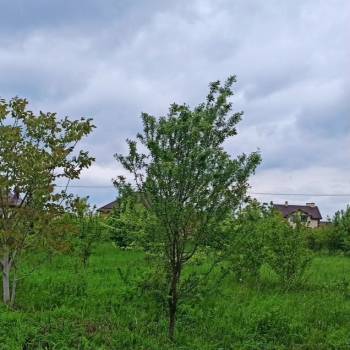 Продается Участок, 1000 м²