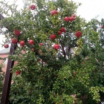 Продается Дом, 159 м²