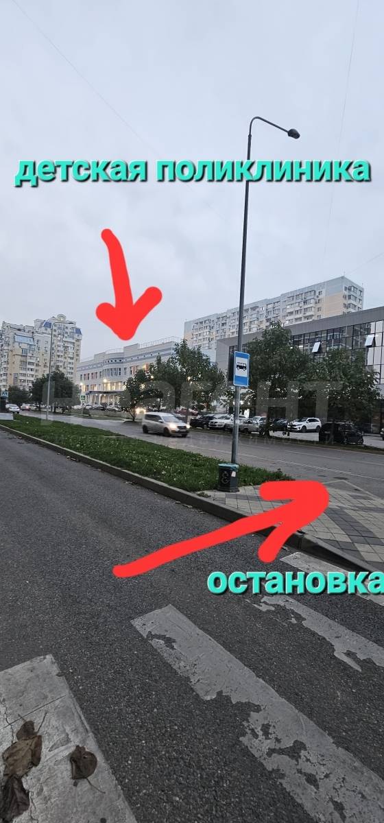 Фотография №15