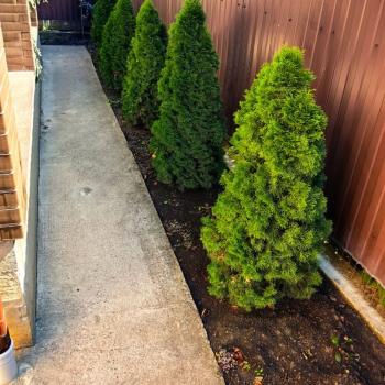 Продается Дом, 186 м²