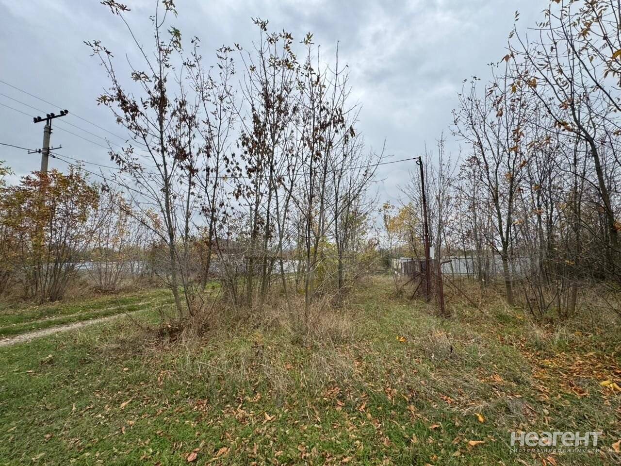 Фотография №2