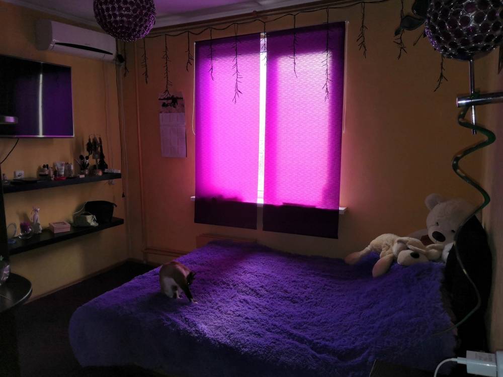 Фотография №5