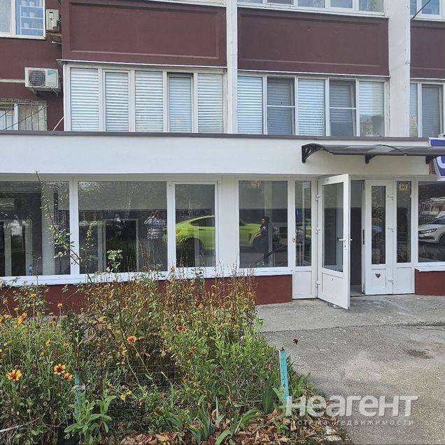 Фотография №2