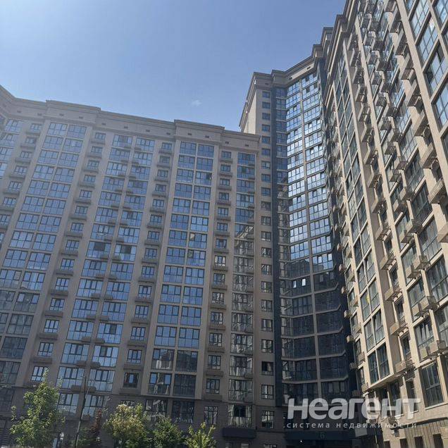 Фотография №2