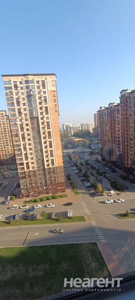 Фотография №3