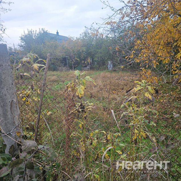 Фотография №2