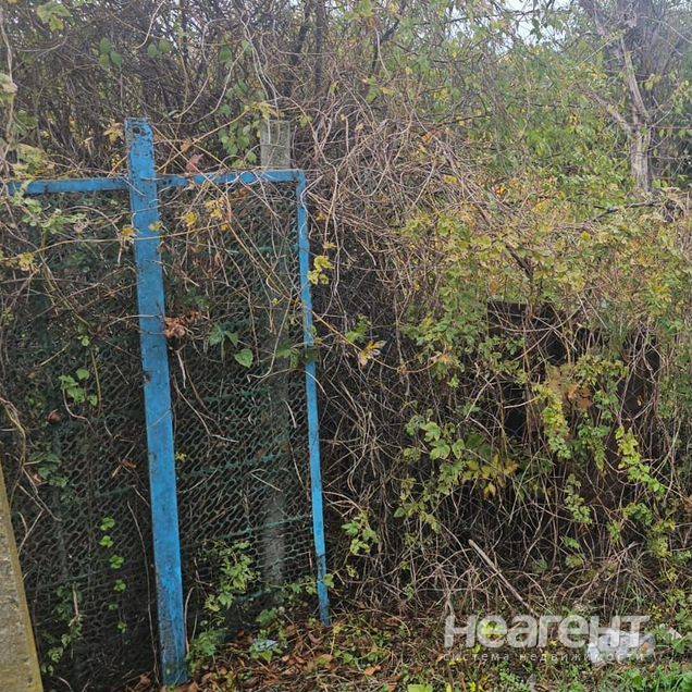 Фотография №3