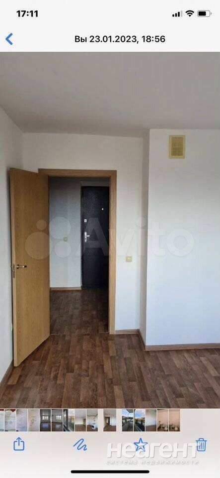 Фотография №3