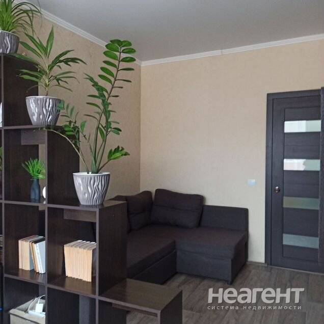 Фотография №3