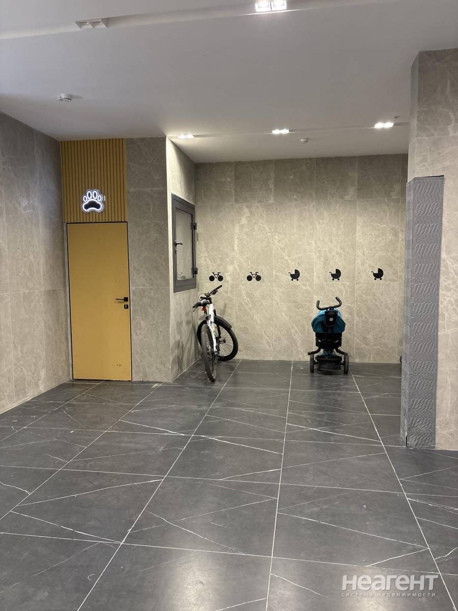 Фотография №3