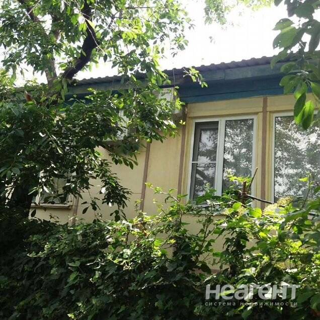 Фотография №2