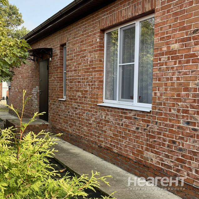 Фотография №3