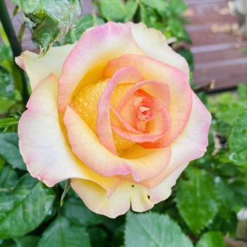 Продается Дом, 30 м²