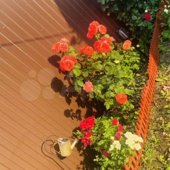 Продается Дом, 30 м²