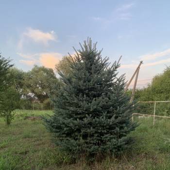 Продается Участок, 1000 м²